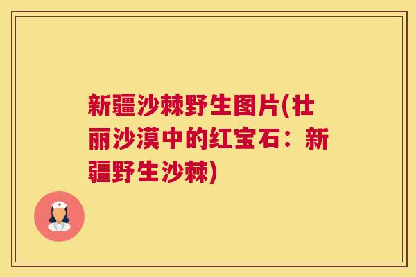 新疆沙棘野生图片(壮丽沙漠中的红宝石：新疆野生沙棘)