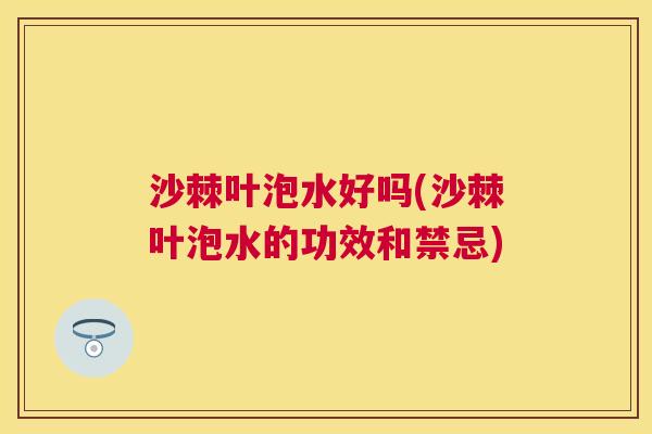 沙棘叶泡水好吗(沙棘叶泡水的功效和禁忌)