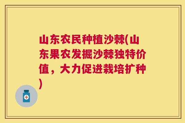 山东农民种植沙棘(山东果农发掘沙棘独特价值，大力促进栽培扩种)