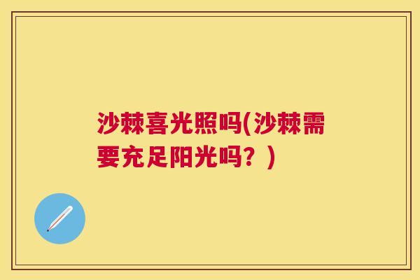 沙棘喜光照吗(沙棘需要充足阳光吗？)