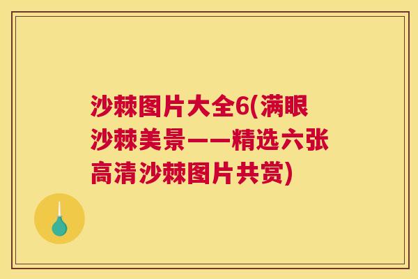 沙棘图片大全6(满眼沙棘美景——精选六张高清沙棘图片共赏)