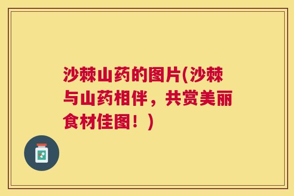 沙棘山药的图片(沙棘与山药相伴，共赏美丽食材佳图！)
