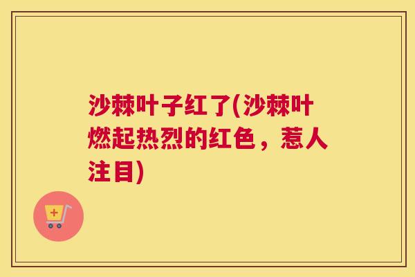 沙棘叶子红了(沙棘叶燃起热烈的红色，惹人注目)