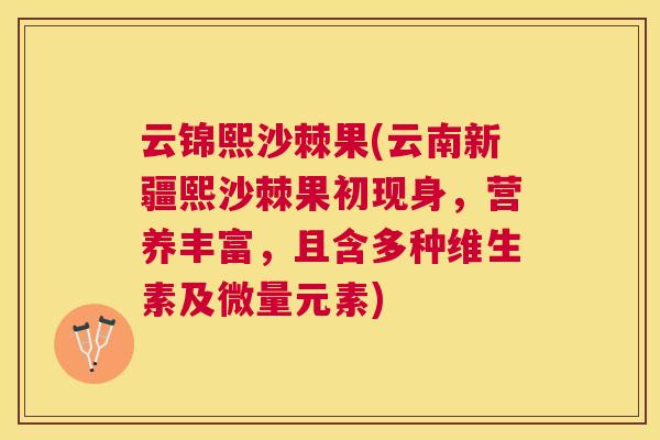 云锦熙沙棘果(云南新疆熙沙棘果初现身，营养丰富，且含多种维生素及微量元素)