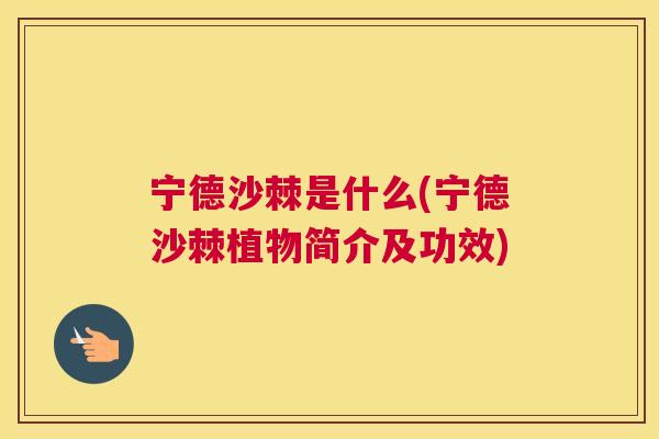 宁德沙棘是什么(宁德沙棘植物简介及功效)