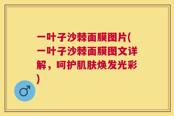 一叶子沙棘面膜图片(一叶子沙棘面膜图文详解，呵护肌肤焕发光彩)