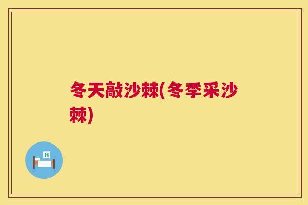 冬天敲沙棘(冬季采沙棘)