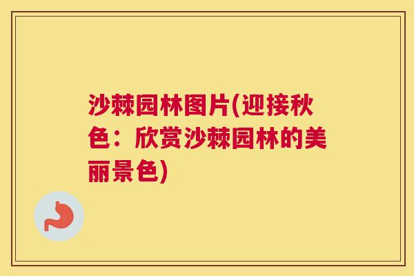 沙棘园林图片(迎接秋色：欣赏沙棘园林的美丽景色)