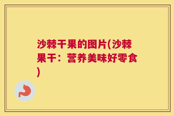 沙棘干果的图片(沙棘果干：营养美味好零食)
