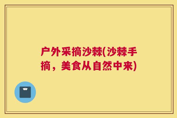 户外采摘沙棘(沙棘手摘，美食从自然中来)