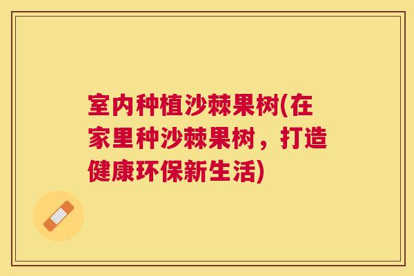 室内种植沙棘果树(在家里种沙棘果树，打造健康环保新生活)