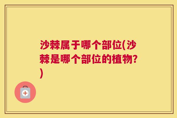 沙棘属于哪个部位(沙棘是哪个部位的植物？)