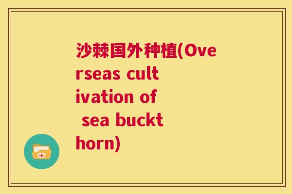 沙棘国外种植(Overseas cultivation of sea buckthorn)