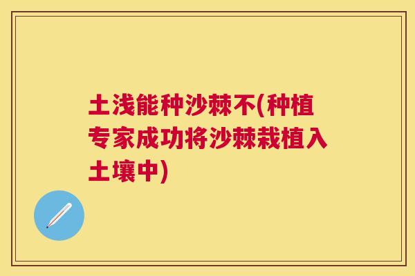 土浅能种沙棘不(种植专家成功将沙棘栽植入土壤中)