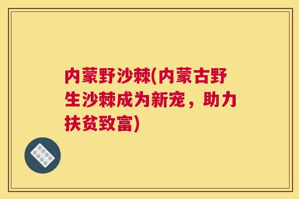 内蒙野沙棘(内蒙古野生沙棘成为新宠，助力扶贫致富)
