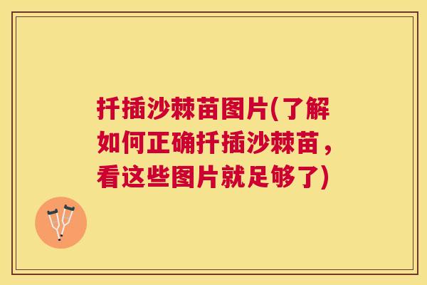 扦插沙棘苗图片(了解如何正确扦插沙棘苗，看这些图片就足够了)