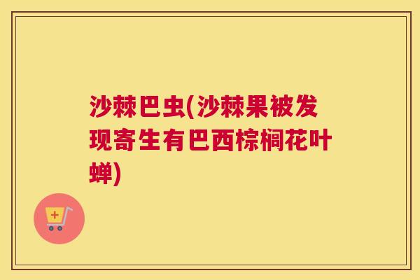 沙棘巴虫(沙棘果被发现寄生有巴西棕榈花叶蝉)