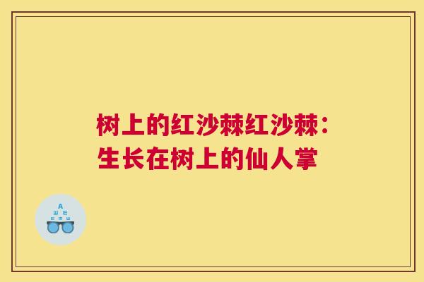 树上的红沙棘红沙棘:生长在树上的仙人掌 树上的红沙棘红沙棘:生长在树上的仙人掌