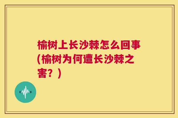 榆树上长沙棘怎么回事(榆树为何遭长沙棘之害？)