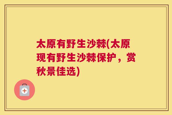 太原有野生沙棘(太原现有野生沙棘保护，赏秋景佳选)