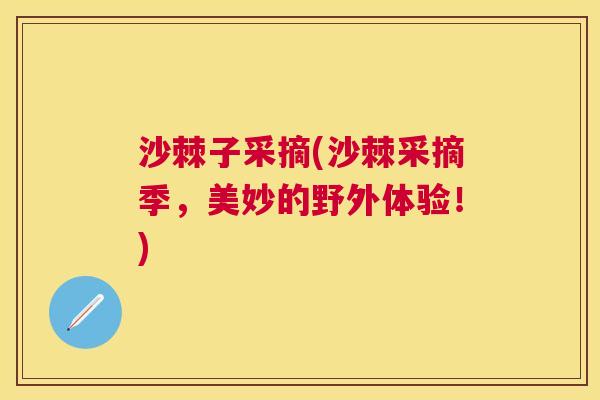 沙棘子采摘(沙棘采摘季，美妙的野外体验！)