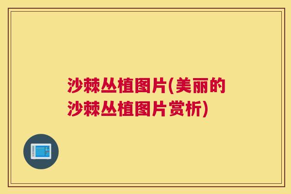 沙棘丛植图片(美丽的沙棘丛植图片赏析)