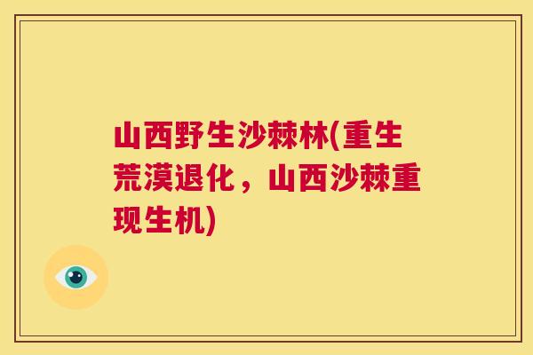 山西野生沙棘林(重生荒漠退化，山西沙棘重现生机)