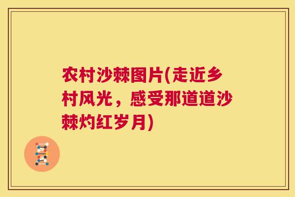 农村沙棘图片(走近乡村风光，感受那道道沙棘灼红岁月)