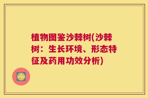 植物图鉴沙棘树(沙棘树：生长环境、形态特征及药用功效分析)