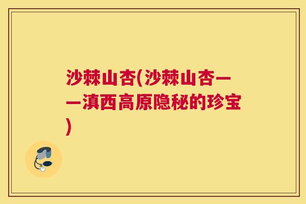 沙棘山杏(沙棘山杏——滇西高原隐秘的珍宝) 沙棘山杏(沙棘山杏——滇西高原隐秘的珍宝)