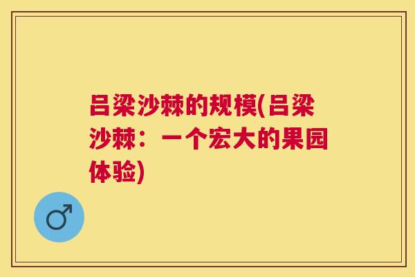 吕梁沙棘的规模(吕梁沙棘：一个宏大的果园体验)