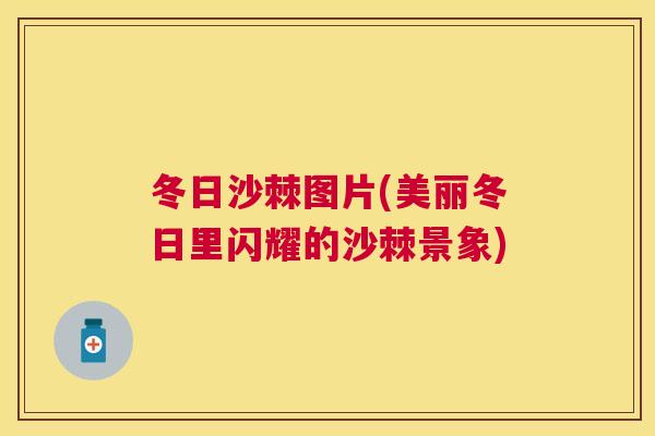 冬日沙棘图片(美丽冬日里闪耀的沙棘景象)