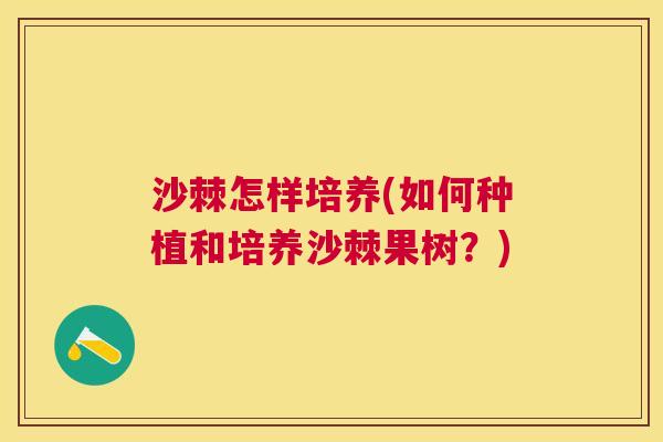 沙棘怎样培养(如何种植和培养沙棘果树？)