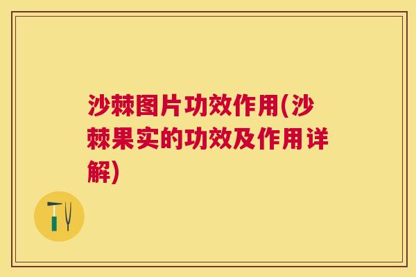 沙棘图片功效作用(沙棘果实的功效及作用详解)