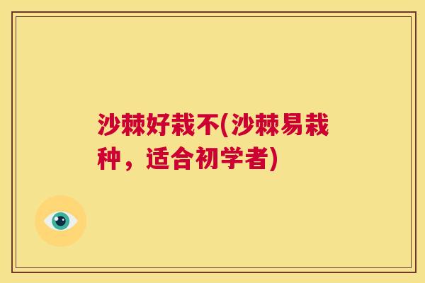 沙棘好栽不(沙棘易栽种，适合初学者)