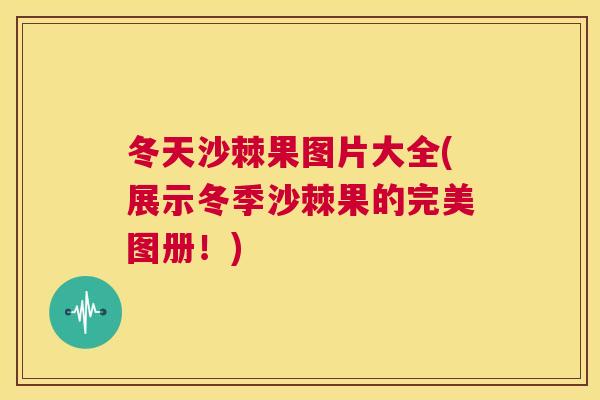 冬天沙棘果图片大全(展示冬季沙棘果的完美图册！)