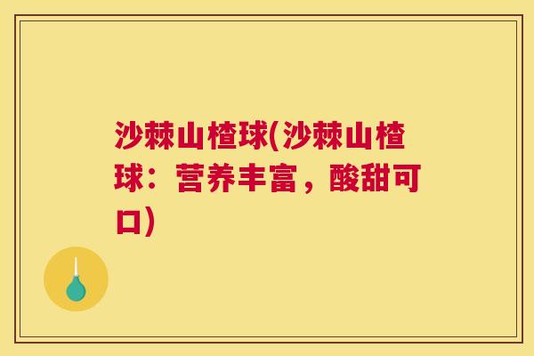 沙棘山楂球(沙棘山楂球：营养丰富，酸甜可口)