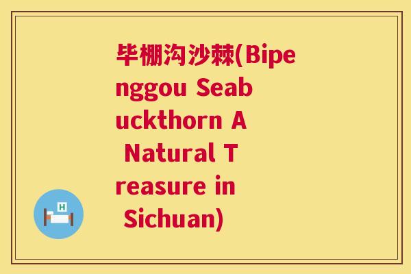 毕棚沟沙棘(Bipenggou Seabuckthorn A Natural Treasure in Sichuan)