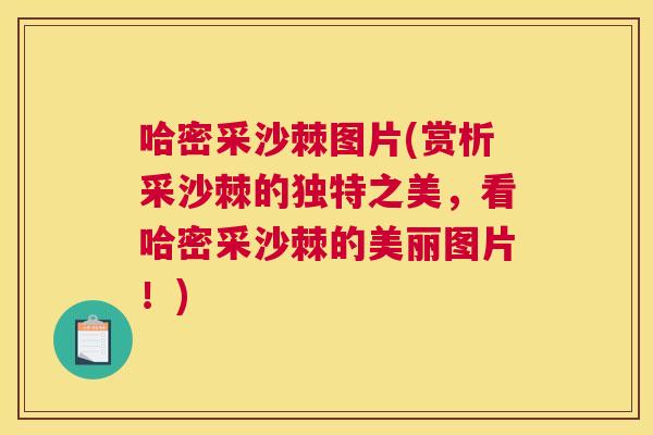 哈密采沙棘图片(赏析采沙棘的独特之美，看哈密采沙棘的美丽图片！)