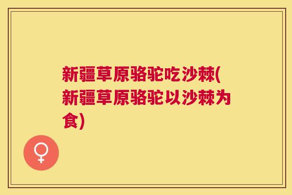 新疆草原骆驼吃沙棘(新疆草原骆驼以沙棘为食)