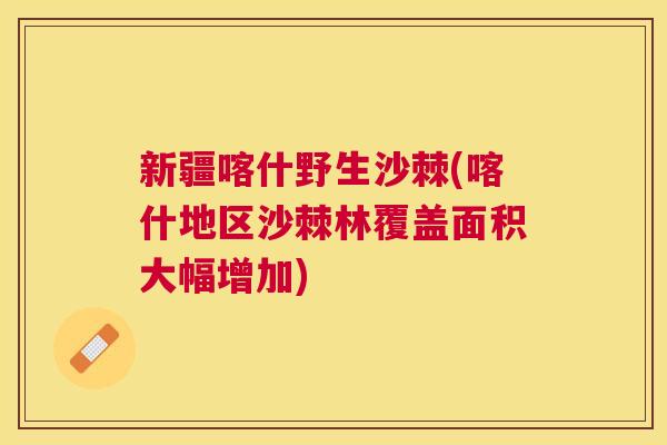 新疆喀什野生沙棘(喀什地区沙棘林覆盖面积大幅增加)