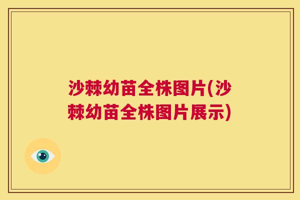 沙棘幼苗全株图片(沙棘幼苗全株图片展示)
