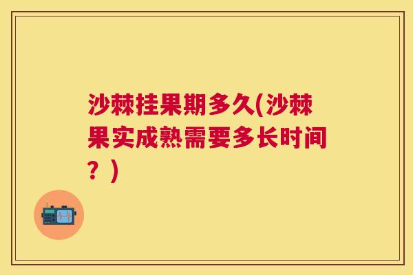 沙棘挂果期多久(沙棘果实成熟需要多长时间？)