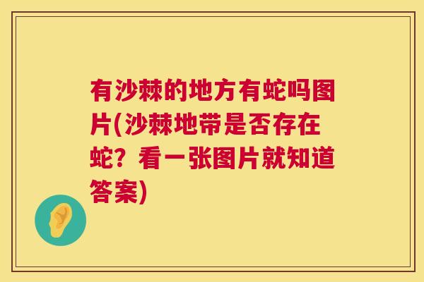 有沙棘的地方有蛇吗图片(沙棘地带是否存在蛇？看一张图片就知道答案)