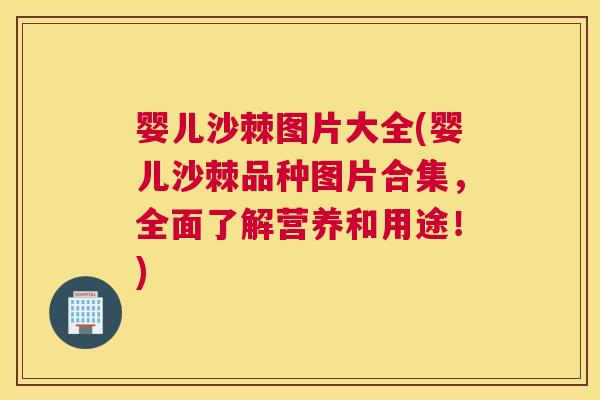 婴儿沙棘图片大全(婴儿沙棘品种图片合集，全面了解营养和用途！)