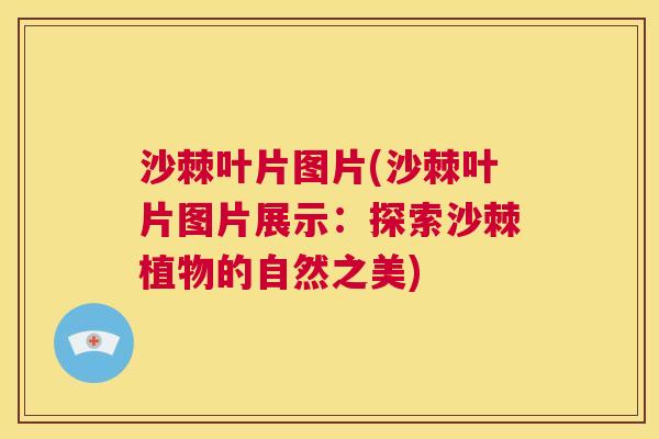 沙棘叶片图片(沙棘叶片图片展示：探索沙棘植物的自然之美)