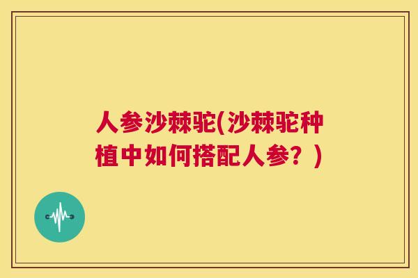 人参沙棘驼(沙棘驼种植中如何搭配人参？)