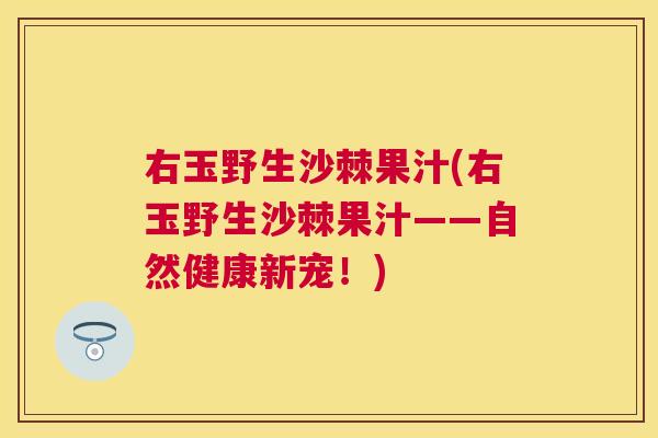 右玉野生沙棘果汁(右玉野生沙棘果汁——自然健康新宠！)