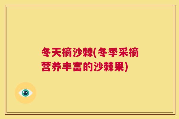 冬天摘沙棘(冬季采摘营养丰富的沙棘果)