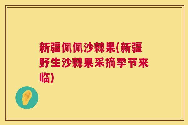 新疆佩佩沙棘果(新疆野生沙棘果采摘季节来临)
